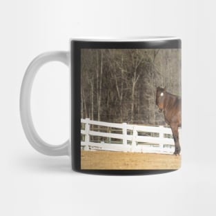 bay horse Mug